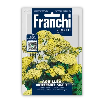 Rumeni Rman – zdravilni rumenimi cvetovi Sprednja stran embalaže semen Rumeni Rman – zdravilni rumenimi cvetovi