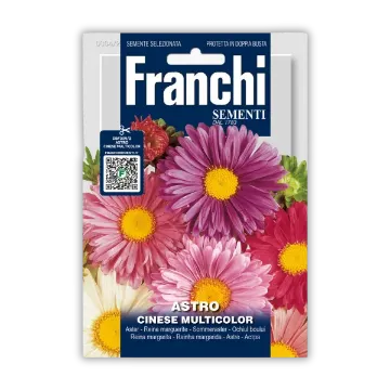 Kitajska astra – veliki cvetovi za grede in šopke Sprednja stran embalaže semen Kitajske astre – veliki cvetovi za grede in šopke