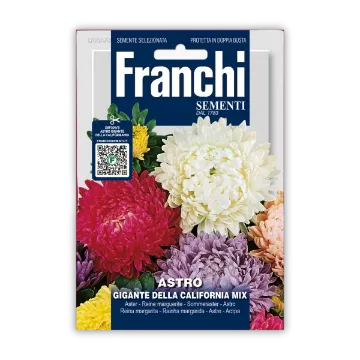 Kalifornijska astra – pisane astre za šopke Sprednja stran embalaže semen Kalifornijske astre – pisane astre za šopke