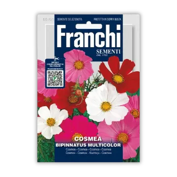 Kozmeja Bipinnatus – pisano cvetje za cvetlične grede Sprednja stran embalaže semen Kozmeje Bipinnatus – pisano cvetje za cvetlične grede