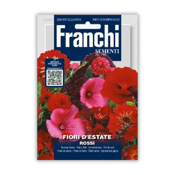 Poletne rože rdeče –za živo rdeče cvetlične grede Poletne rože rdeče –za živo rdeče cvetlične grede