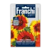 Franchi Sementi semena velikocvetne gailardije – pisana trajnica za sončne grede