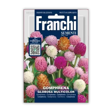 Amaranta Gomphrena Globosa - večbarvna Amaranta Gomphrena Globosa - večbarvna