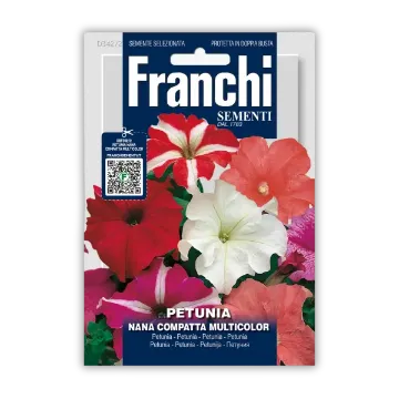 Petunija - večbarvna Petunija - večbarvna