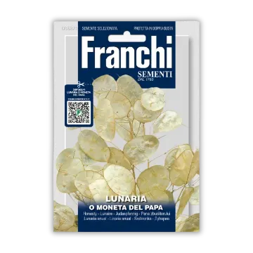 Lunaria – papežev kovanec Lunaria – papežev kovanec