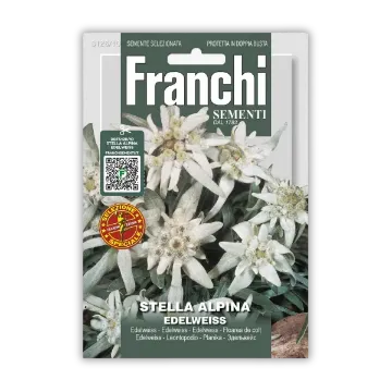 Planika Edelweiss Planika Edelweiss