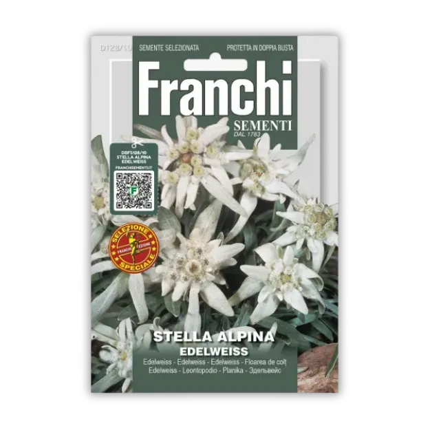 Planika Edelweiss