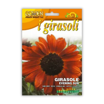 Sončnica Evening Sun – rdeča sončnica Sprednja stran embalaže semen Sončnice Nanissimo Sončnica Evening Sun – rdeča sončnica