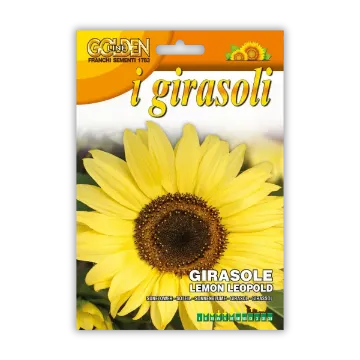 Sončnica Lemon Leopold – s svetlo rumenimi cvetovi Sprednja stran embalaže Sončnica Lemon Leopold – s svetlo rumenimi cvetovi