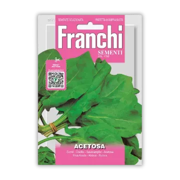 Kislica Rumex Acetosa – trajnica za enostavno vzgojo Kislica Rumex Acetosa – trajnica za enostavno vzgojo