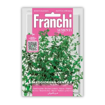 Majaron Gentile Majaron Gentile