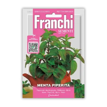 Menta Piperita - poprova meta Menta Piperita - poprova meta