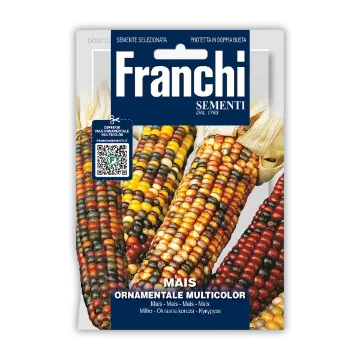 Okrasna večbarvna koruza – dekorativni storži Okrasna večbarvna koruza – dekorativni storži