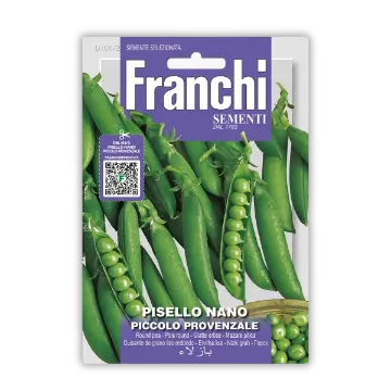 Pritlikavi grah Provensalec Pritlikavi grah Provensalec