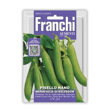 Nizki grah Kelvedon Nizki grah Kelvedon