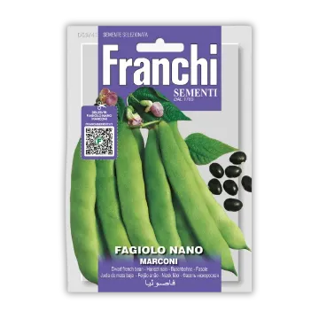 Nizki fižol Marconi – brez nitk Nizki fižol Marconi – brez nitk