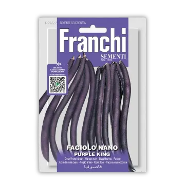 Nizki fižol Purple King Nizki fižol Purple King