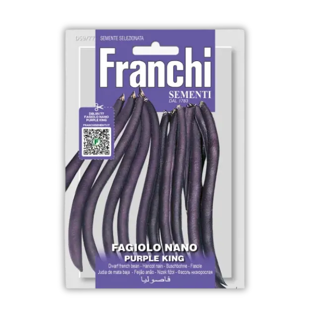 Nizki fižol Purple King