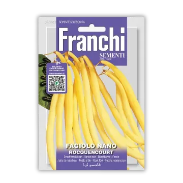 Nizki fižol Rocquencourt – rumeni stroki brez nitk Nizki fižol Rocquencourt – rumeni stroki brez nitk