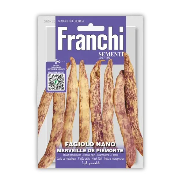 Nizki fižol Merveille de Piemonte – rumeni stroki z vijoličnimi črtami