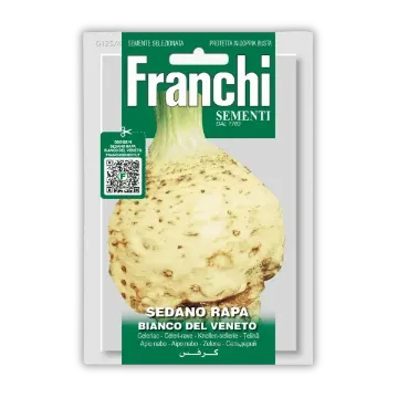 Gomoljna zelena Bianco del Veneto Gomoljna zelena Bianco del Veneto