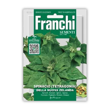 Novozelandska špinača Novozelandska špinača