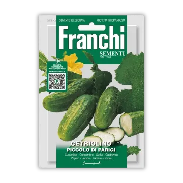 Kumarice Pariške – idealne za vlaganje Kumarice Pariške – idealne za vlaganje