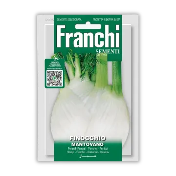 Sladki komarček Mantovano Sladki komarček Mantovano