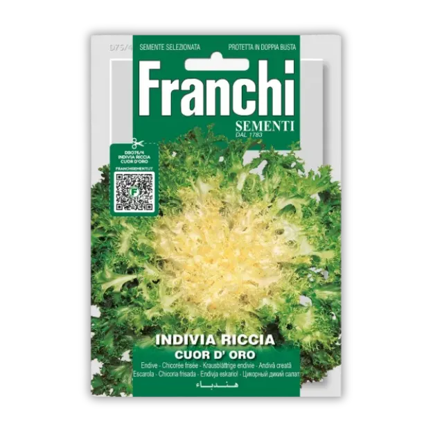 Semena endivije Cuor d'Oro Franchi Sementi
