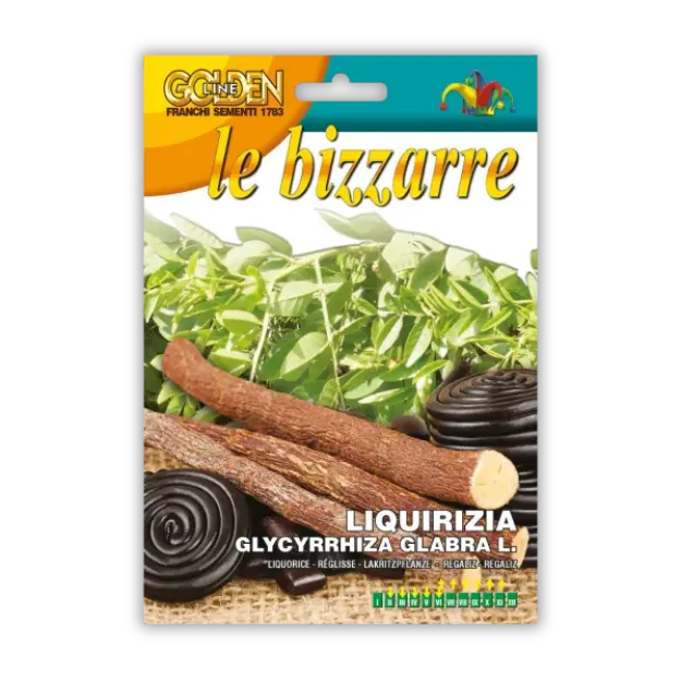 Semena sladkega korena Franchi Sementi za vzgojo trajnice z aromatičnimi koreninami za čaje in druge pripravke
