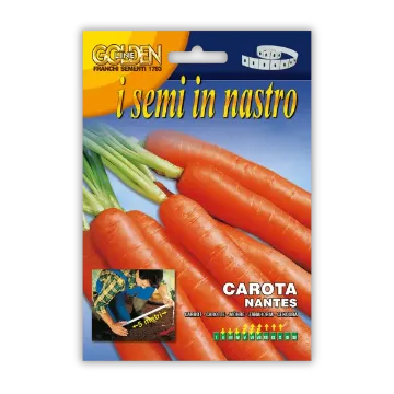 Korenje Nantes – semena na traku za enostavno setev Sprednja stran pakiranja semen korenja Nantes