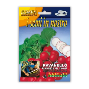 Rdeča redkvica Sanova – semena na traku Rdeča redkvica Sanova – semena na traku