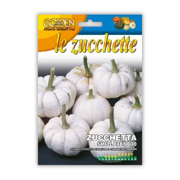 Okrasna buča Small Baby Boo – bela buča Okrasna buča Small Baby Boo – bela buča