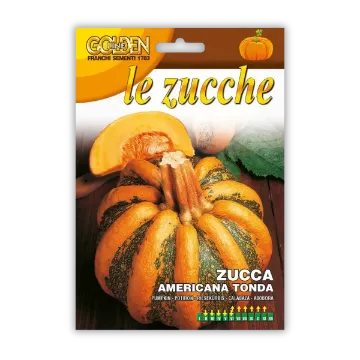 Buča Americana – rebrasta buča Buča Americana – rebrasta buča