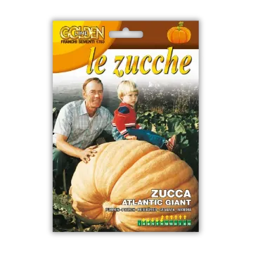 Buča velikanka Atlantic Giant Buča velikanka Atlantic Giant