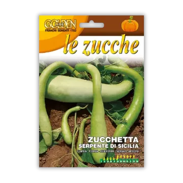 Sicilijanska kačja bučka Sicilijanska kačja bučka