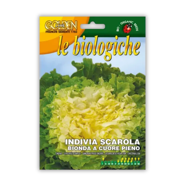 BIO semena endivije s polnim srcem Franchi Sementi