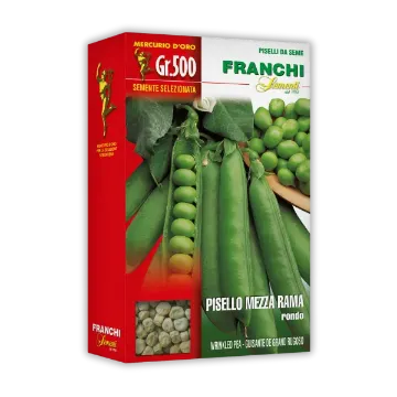 Semena graha Pisello Mezza Rama Rondo Semena graha Pisello Mezza Rama Rondo