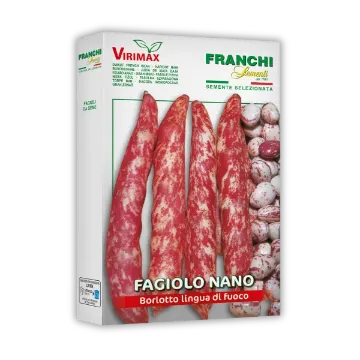 Fižol Borlotto Ognjeni jezik Fižol Borlotto Ognjeni jezik