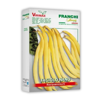 Fižol Rocquencourt – rumeni stroki brez nitk Fižol Rocquencourt – rumeni stroki brez nitk