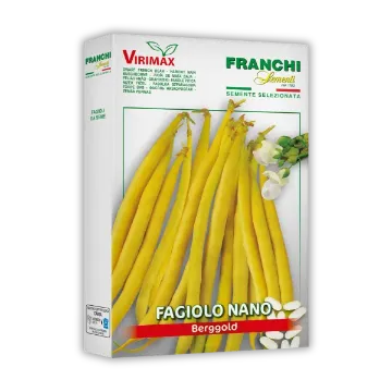 Fižol Berggold – rumeni stroki brez nitk Fižol Berggold – rumeni stroki brez nitk