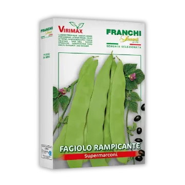 Visok fižol Supermarconi Visok fižol Supermarconi