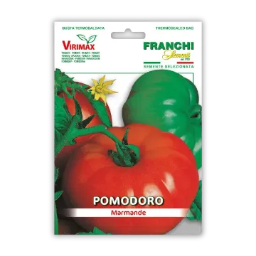 Ploščat paradižnik Marmande Ploščat paradižnik Marmande