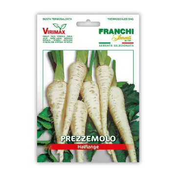 Beli Berlinski peteršilj srednje dolgi Beli Berlinski peteršilj srednje dolgi