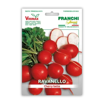 Redkvica Cherry Belle za solate Redkvica Cherry Belle za solate