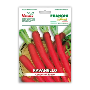 Redkvice Ognjena sveča Redkvice Ognjena sveča