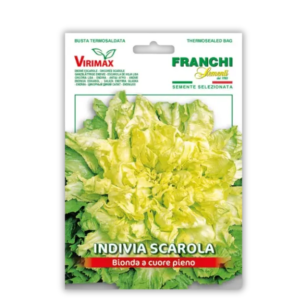 Semena endivije Eskariol z rumeno sredico Franchi Sementi