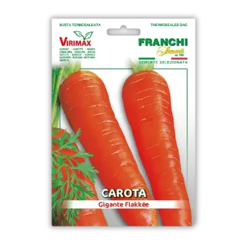 Korenje Flakkée – pozna sorta z velikimi in dolgimi koreni Korenje Flakkée – pozna sorta z velikimi in dolgimi koreni