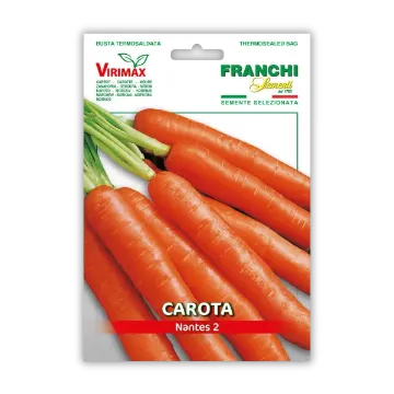 Korenje Nantes 2 – hrustljavo Korenje Nantes 2 – hrustljavo