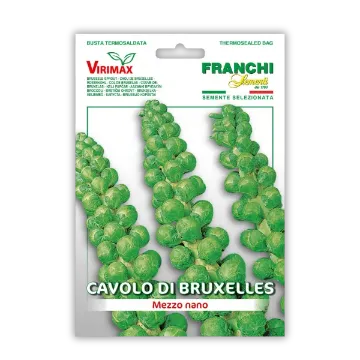 Brstični ohrovt Bruxelles - srednje majhni Brstični ohrovt Bruxelles - srednje majhni